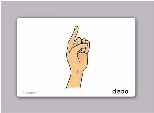Vista 3 de Tarjetas de vocabulario -Partes del Cuerpo - Tarjetas de carrocería en español para niños pequeños de 2 a 4 años, niños y adultos