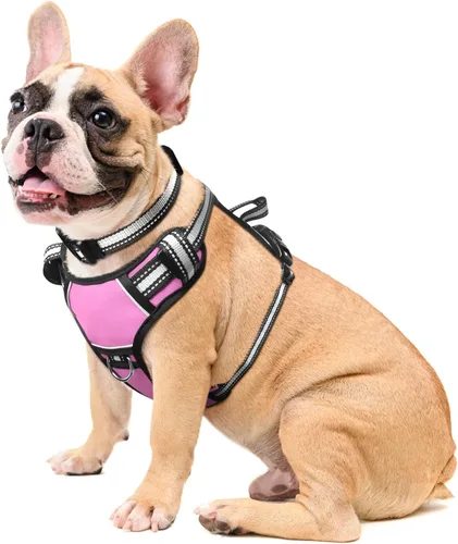 Vista 27 de Arnés para perro sin tirones, arneses para mascotas con collar, chaleco Oxford reflectante y ajustable, hebillas delanteras y traseras para correa