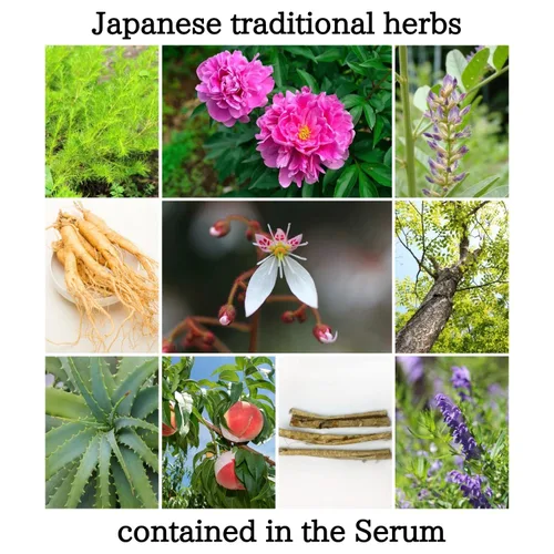 Vista 4 de Hyakkaso JAPAN - Suero de ácido hialurónico y hierbas, cuidado natural de la piel, agua Onsen de aguas termales, hidratación e hidratación, todo