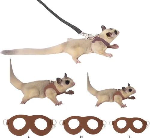 Vista 13 de MANON ROSA Sugar Glider - Juego de arnés y correa, chaleco ajustable de 3 piezas a prueba de escapes para ardillas, ratas, ratones, ratones