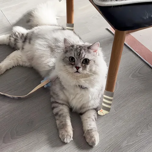 Vista 6 de 16 calcetines de silla de gato para patas de silla, protectores de suelo de patas de gato, calcetines para patas de silla para suelos de madera dura