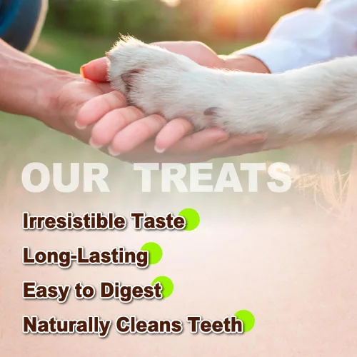 Vista 4 de AFreschi tendones de pavo para perros, de origen estadounidense, golosinas saludables para perros, masticables sin cuero crudo para cachorros