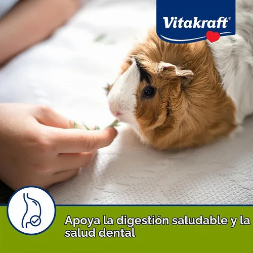 Vista 4 de Vitakraft Vita Smart - Comida para conejillo de indias, 4 libras