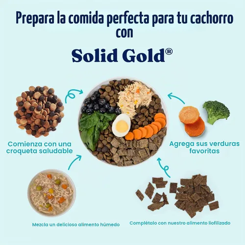 Vista 7 de Solid Gold Aderezo de Comida Húmeda para Perros y Tazas de Comida - Con Pollo, Carne de Res y Calabaza para Estómagos Sensibles, Salud Intestinal