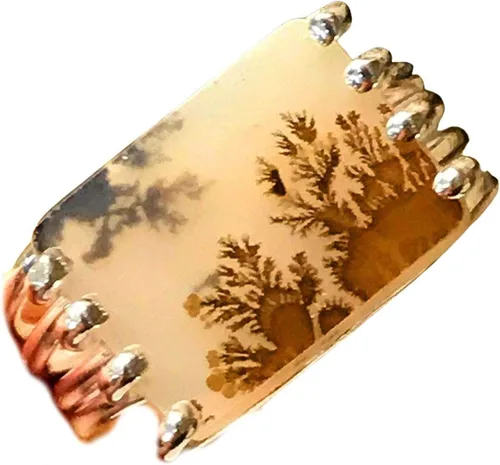 Vista 4 de Genuine Georgian Scenic Dendritic Agate 925 Sterling Silver Ring Size 9