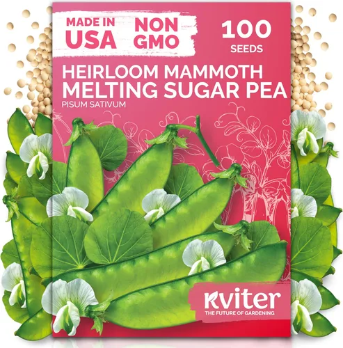 Vista 35 de KVITER 3000 semillas de espinaca egipcias - Molokhia (Corchorus Olitorius) - Hojas de yute, Ewedu, Día de Rau, Semillas de vegetales Saluyot