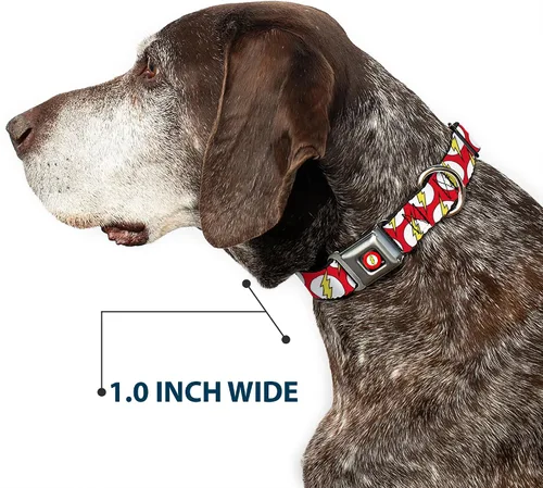 Vista 6 de Buckle-Down Collar de perro hebilla de cinturón de seguridad Flash Logo disperso rojo blanco amarillo 9 a 15 pulgadas 1.0 pulgadas de ancho