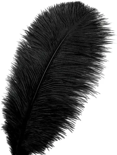 Vista 2 de Ballinger 24 plumas de avestruz negro de 10 a 12 pulgadas, 12 plumas de avestruz negro de 12 a 14 pulgadas y 10 piezas de plumas de avestruz negro