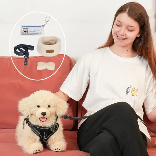 Vista 3 de Chongker Animales de Peluche de Perro con Juguetes Magnéticos, Suaves y Tiernos Juguetes de Peluche Golden Retriever, Animales de Peluche