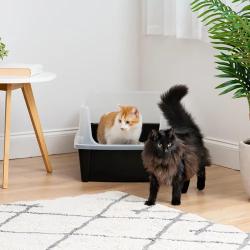 Vista 3 de IRIS USA Caja de arena XX-Large para gatos, caja de arena extragrande con parte superior abierta para gatos grandes y hogares con varios gatos