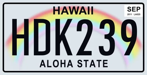 Vista 2 de Juego de 10 placas de metal para automóviles de Estados Unidos - réplicas de placas americanas reales de los estados americanos más famosos - MAD