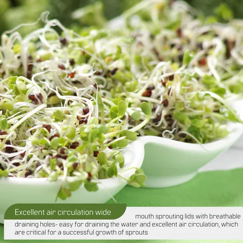 Vista 7 de 4 soportes de germinación para tarro Mason – Kit de germinación de 4 soportes para tarros Mason para boca ancha y regular, kit de soporte de acero