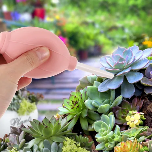Vista 5 de YARNOW Juego de 6 herramientas de mano para jardín, suculentas, herramienta de trasplante de suculentas, juego de herramientas para el cuidado