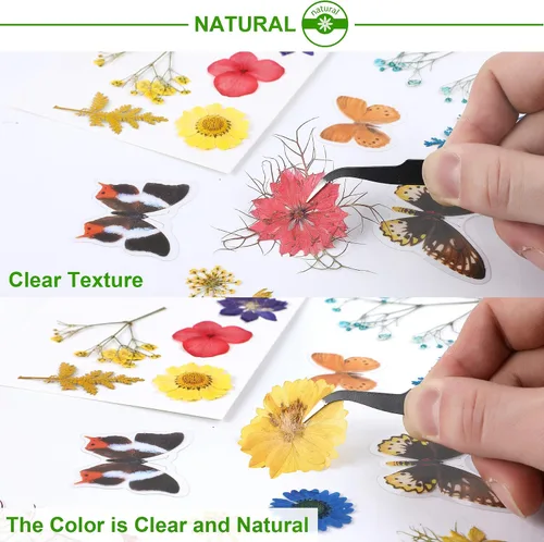 Vista 4 de Augshy Juego de flores secas prensadas reales con calcomanías transparentes de mariposa, calcomanías para álbumes de recortes, flores secas