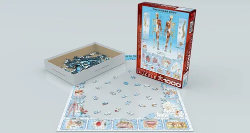 Vista 4 de EuroGraphics Rompecabezas de cuerpo humano (1000 piezas)