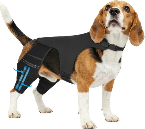 Vista 8 de Rodillera para perro para pierna trasera desgarrada, 4 estabilizadores, soporte de cadera ajustable para reducir el dolor, lesiones de ligamentos
