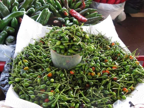 Vista 8 de Chile Pequin Peppers - Pequeños chiles rojos brillantes - Empacan un ponche (10 - Semillas)