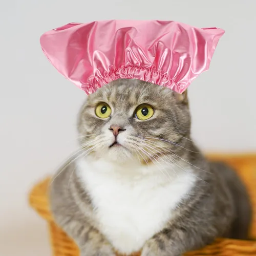 Vista 3 de Gorro de ducha impermeable para mascotas para gatos y perros, sombrero de baño flexible para cachorros con protección para los oídos, gorras