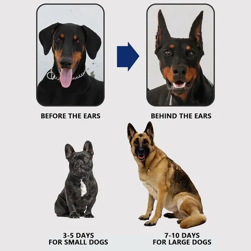Vista 5 de Soporte de pie para orejas de perro, kit de publicación de orejas de perro, soporte de corrección de orejas de perro Herramienta fija de pie