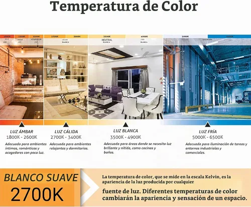 Vista 7 de Sunlite Bombilla LED G16.5, 7 vatios (equivalente a 60 W), 500 lúmenes, regulable, base de candelabro tipo G en forma de globo E12, bombillas Blanco
