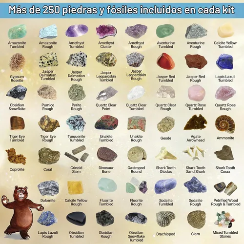Vista 2 de Set de actividades de la colección Rock & Mineral (más de 150 piezas), hoja de identificación educativa más 2 geodas fáciles de romper, dientes