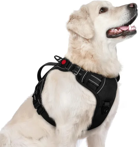 Vista 34 de rabbitgoo Arnés para perro de tamaño pequeño, arnés para mascotas sin tirones con mango acolchado suave, chaleco reflectante ajustable con 3