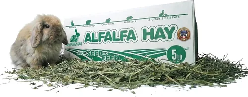 Vista 11 de High Desert Heno de alfalfa, alimento de hojas blandas rico en proteínas para animales jóvenes en crecimiento, alimento natural para conejos y heno