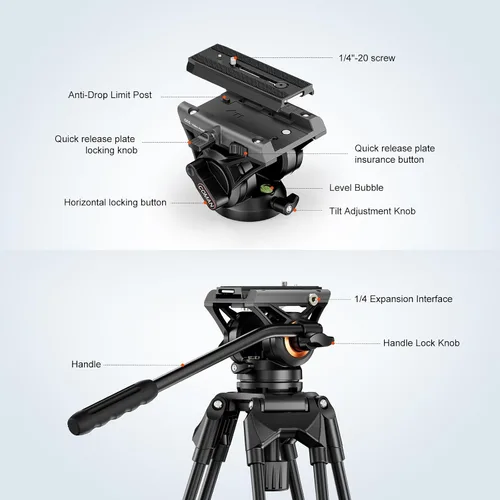 Vista 5 de COMAN Trípode de video de 74.4 pulgadas, trípode de cámara resistente con cabezal fluido y aleación de aluminio, carga máxima de 17.6 lbs/8 kg