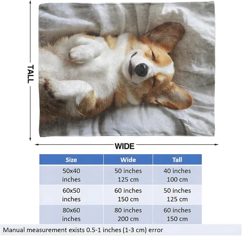 Vista 3 de Manta de perro Corgi para niñas, niños y adultos, 40 x 50 pulgadas, acogedora manta de franela para dormitorio, campamento, sofá, decoración