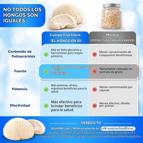 Vista 4 de Melena de león orgánica USDA 50% polisacáridos, 120ct Focus Salud