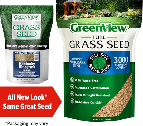 Vista 2 de GreenView Pure Grass Seed Kentucky Bluegrass Blend, bolsa de 3 libras Fill bare spots fast, bluegrass seed for sun and light shade, overseeding