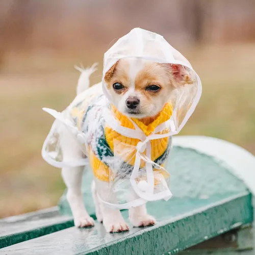 Vista 6 de Impermeable para cachorros para perros pequeños, impermeable, capa impermeable con capucha para mascotas, talla XS