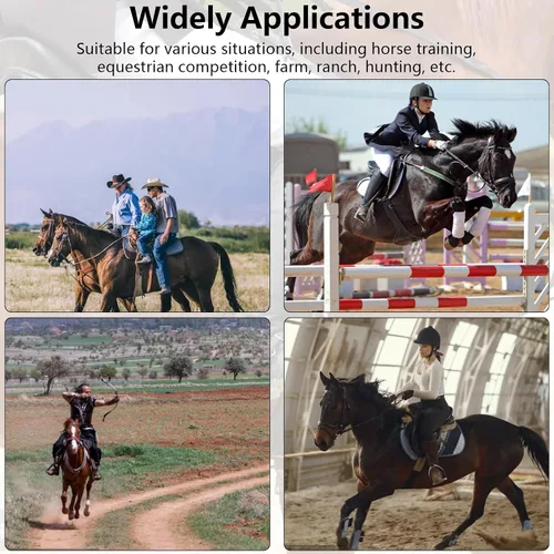 Vista 4 de Pilipane Espuelas de caballo, espuelas de bola de rodillo de acero inoxidable de 5.9 x 3.3 x 0.6 pulgadas, 2 piezas exquisitas espuelas de caballo