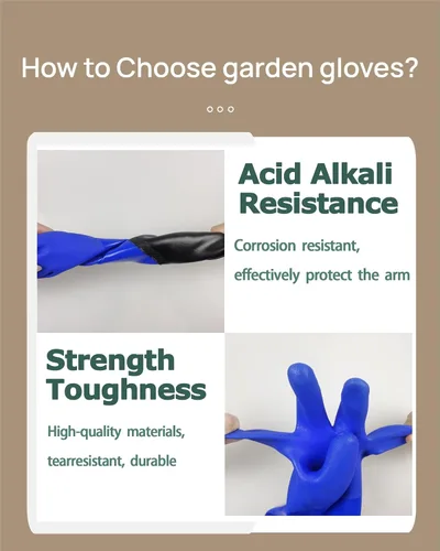Vista 4 de LIICHAAO Guantes para sostener corales de acuario para mantenimiento de peceras Guantes resistentes a productos químicos, guantes impermeables