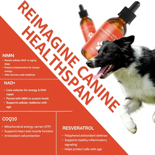 Vista 4 de Suplemento de longevidad para perros NAD+ y NMN, liposomal NAD nicotinamida ribósido resveratrol, salud de las articulaciones, vitalidad