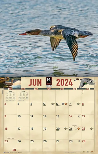 Vista 3 de The KING Company - Calendario de pared de aves acuáticas 2024, tamaño XL, 14 x 22 pulgadas, calendario de gansos de pato por The KING