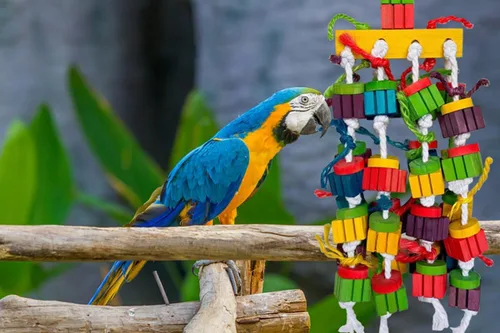Vista 5 de Juguetes masticables grandes para guacamayos, gris africano, loros amazónicos, cokatoos (20 pulgadas)