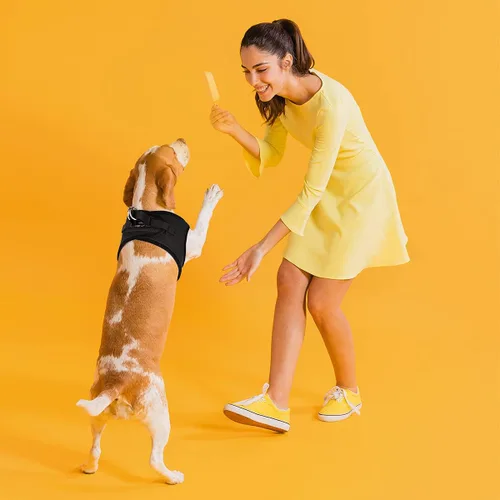 Vista 6 de Dogline York Step-in Air - Arnés de malla para perro, sin estrangulamiento, chaleco suave acolchado en el pecho para cachorros, perros pequeños
