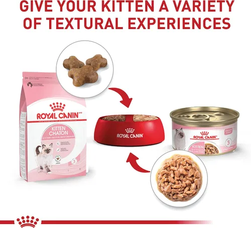 Vista 4 de Comida enlatada para gatos, de Royal Canin, salud felina, nutrición instintiva de adultos, rebanadas delgadas en salsa, Paquete de 6