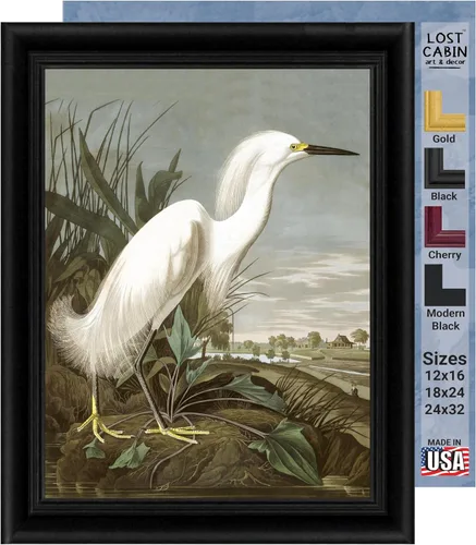 Vista 14 de Lost Cabin American Flamingo por James Audubon Impresión en marco biselado negro Reproducción de pintura de obras de arte finas Póster