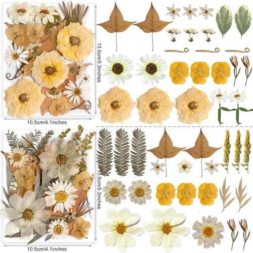 Vista 3 de 96 piezas de flores blancas secas y prensadas vintage para manualidades con resina - Juego de flores naturales reales de YouthBro con 50 calcomanías