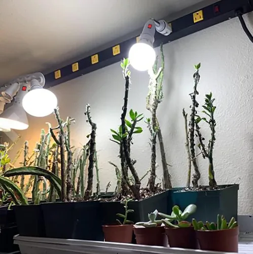 Vista 5 de Adaptador de enchufe divisor E26/E27 ajustable de 360° para bombillas LED estándar (paquete de 2)