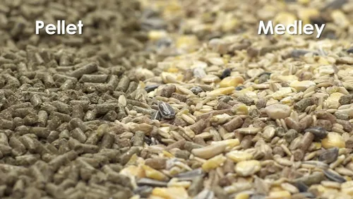 Vista 5 de Alimentos para conejo Kaytee Supreme , Verdes