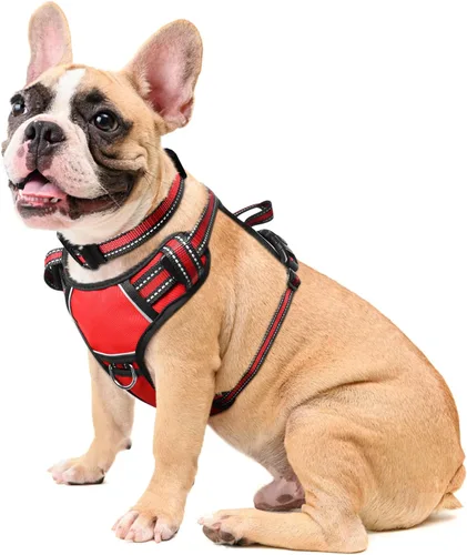 Vista 32 de Arnés para perro sin tirones, arneses para mascotas con collar, chaleco Oxford reflectante y ajustable, hebillas delanteras y traseras para correa