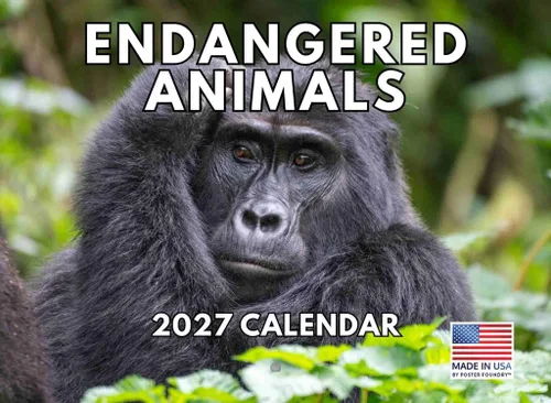 Vista 46 de Calendario mensual de pared de alpaca 2025 Fabricado en Estados Unidos