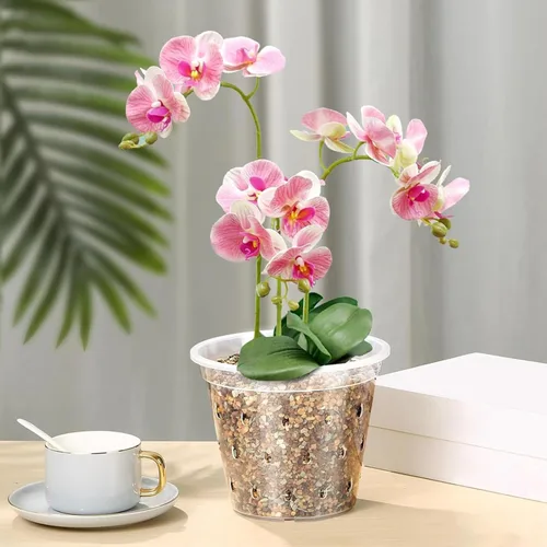 Vista 3 de 5 macetas de plástico transparente para orquídeas con agujeros y platillos, macetas transparentes para trasplantar, excelente drenaje y ventilación
