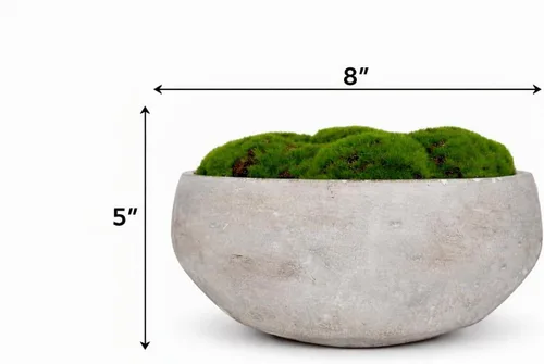 Vista 3 de Cuenco de musgo de cemento pintado a mano, 8 pulgadas, centro de mesa de musgo artificial, cuenco decorativo para mesa de café
