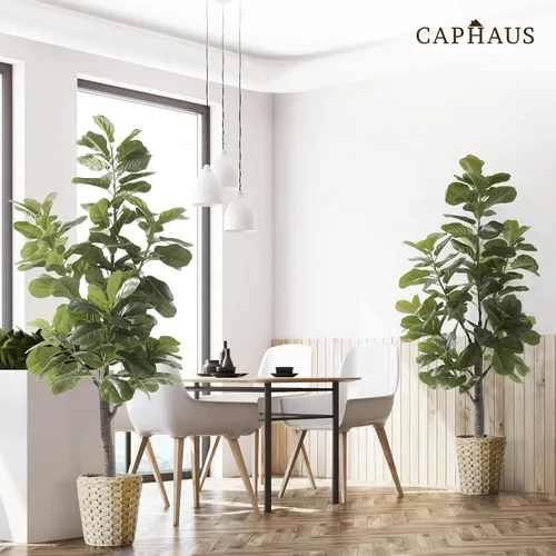 Vista 9 de CAPHAUS Árbol de higuera artificial de hoja de violín, 6/7 pies en maceta con musgo seco, para casa, oficina, tienda, árbol sintético de ficus