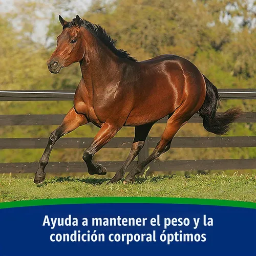 Vista 2 de Farnam - Suplemento de soporte de peso para caballos, suministro para 30 días Ayuda a mantener el peso óptimo y la condición corporal, proporciona