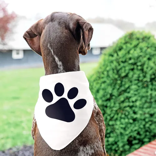 Vista 6 de Plantilla de pata de perro - Plantillas de huellas para mascotas